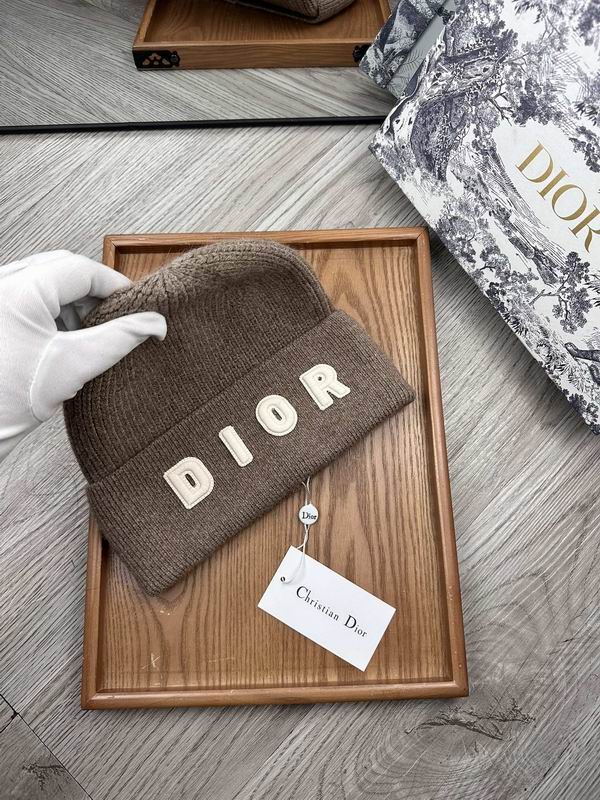 Dior hat dx (23)
