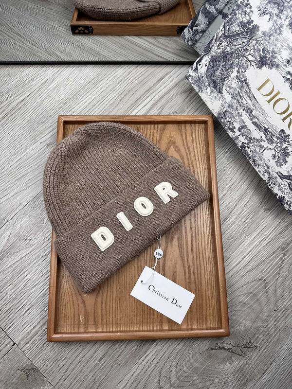 Dior hat dx (24)