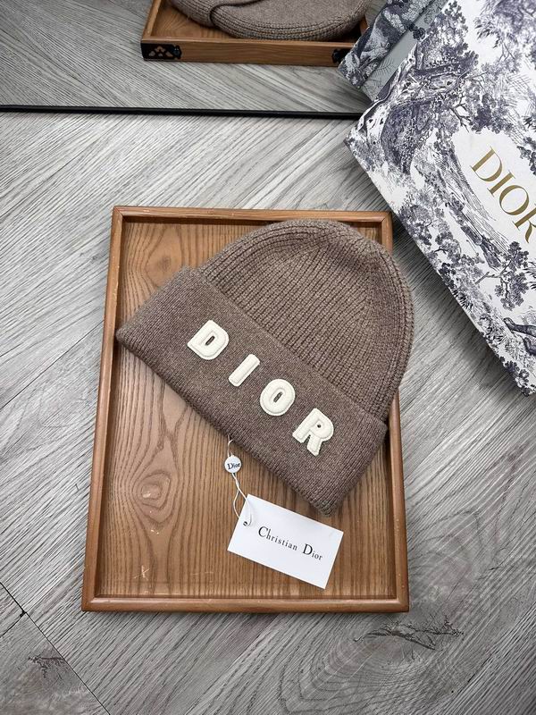 Dior hat dx (25)