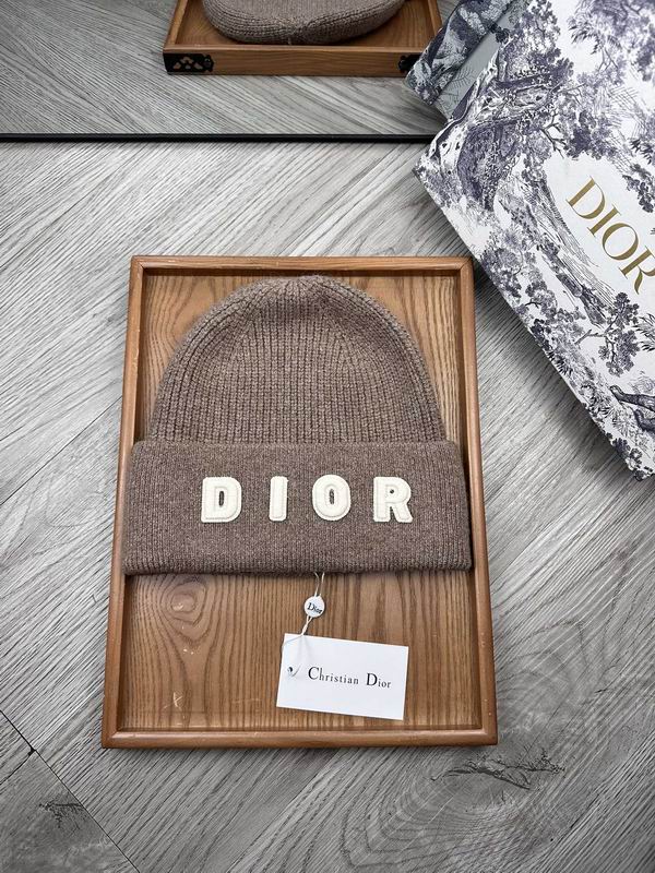 Dior hat dx (26)