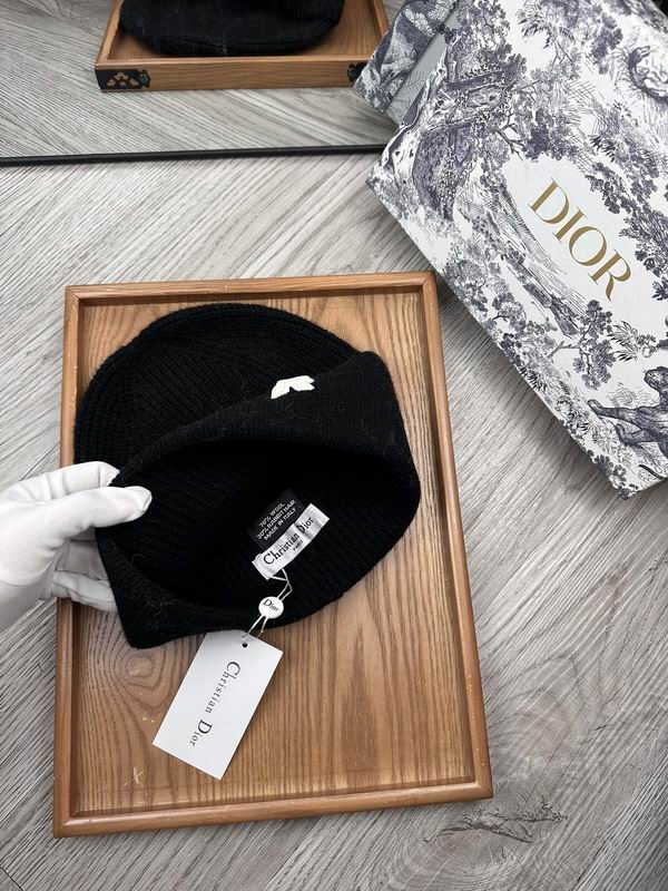 Dior hat dx (29)