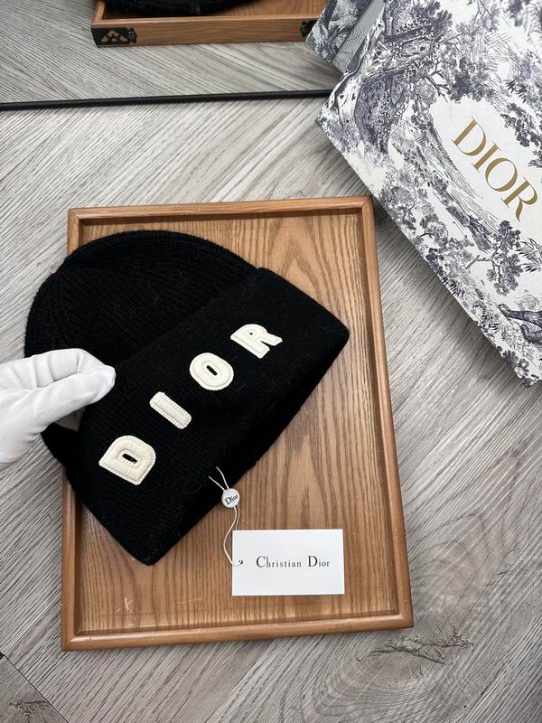 Dior hat dx (31)