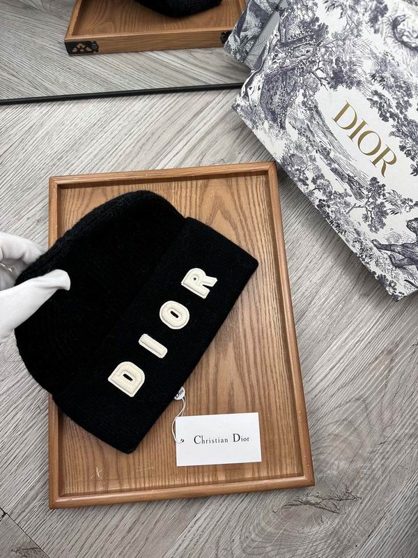Dior hat dx (32)