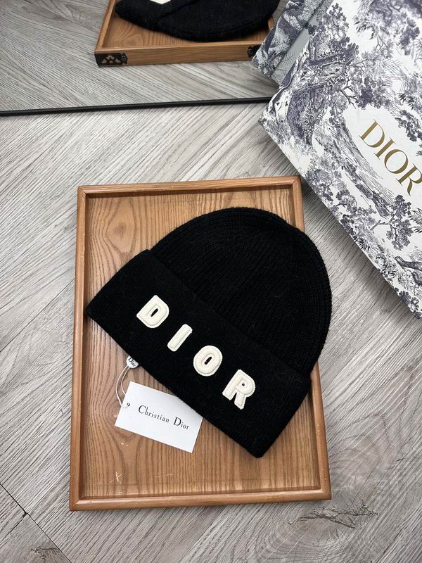 Dior hat dx (34)