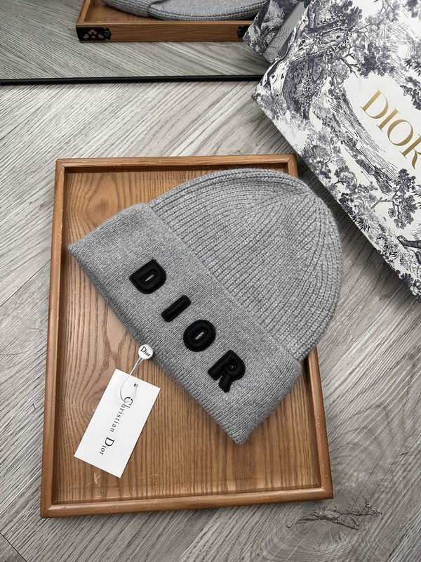 Dior hat dx (7)