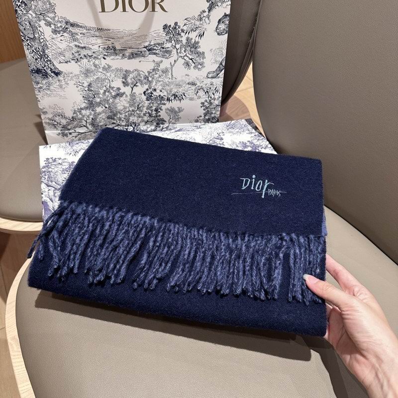 Dior scarf hm (223)