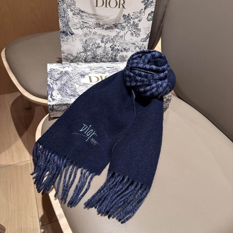 Dior scarf hm (225)