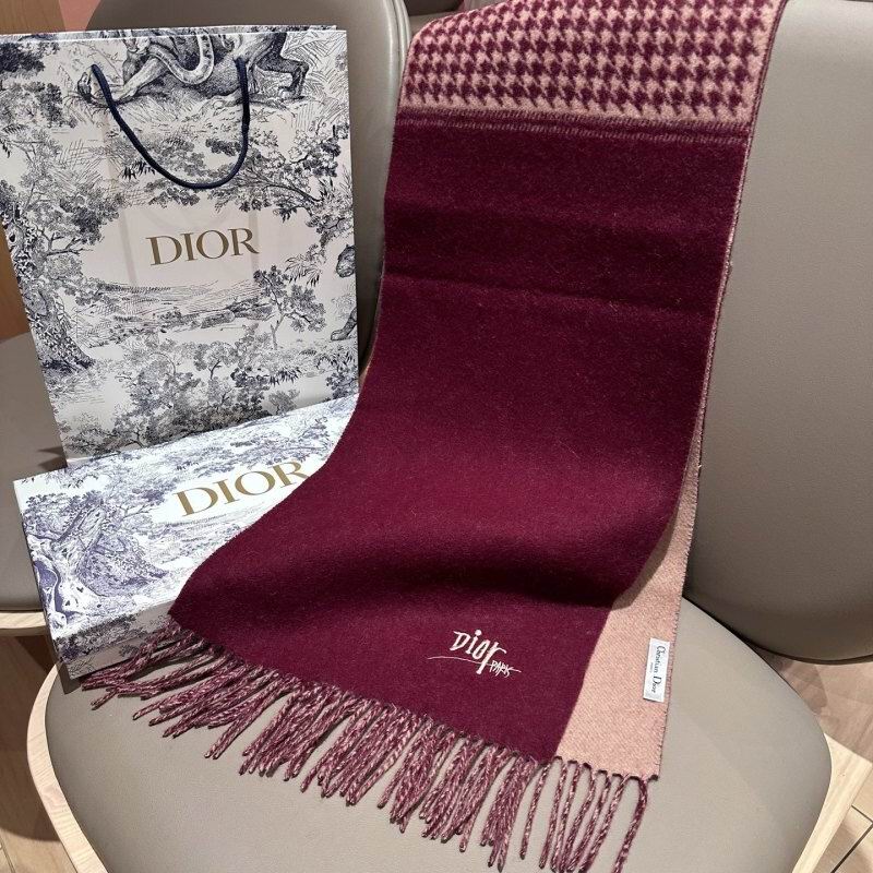 Dior scarf hm (227)