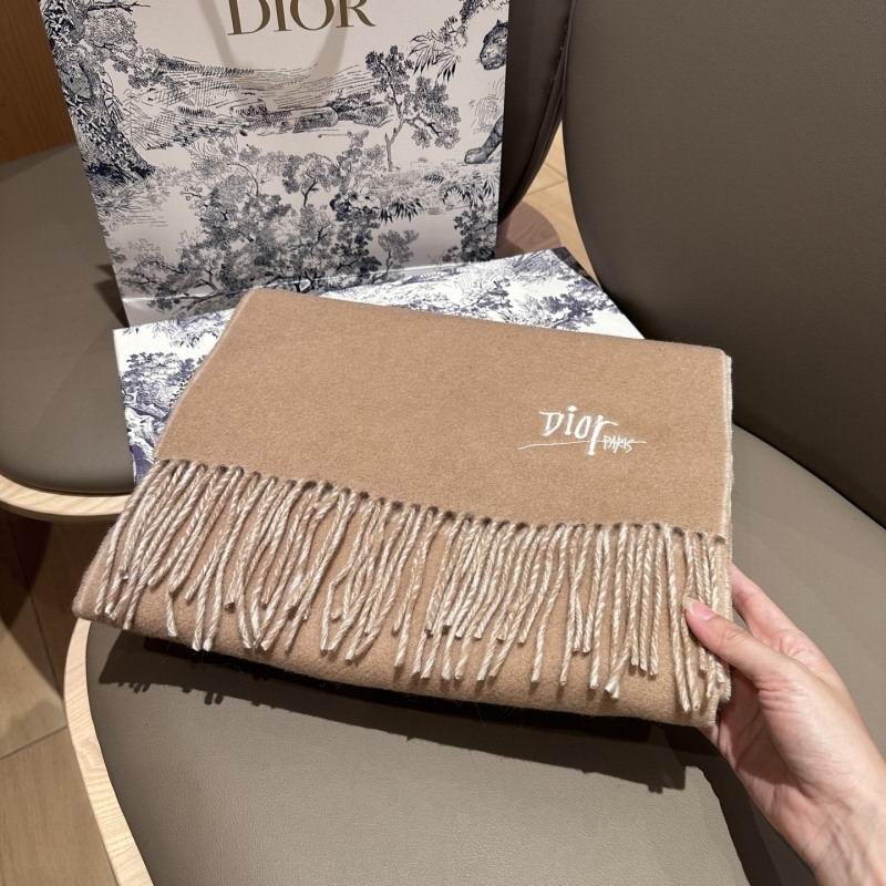 Dior scarf hm (229)
