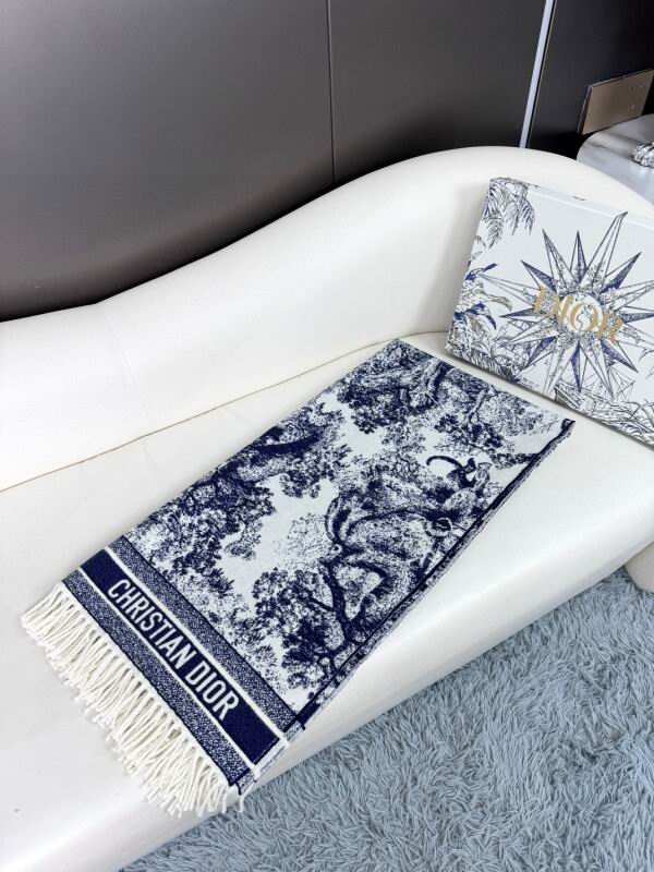Dior scarf hm (233)