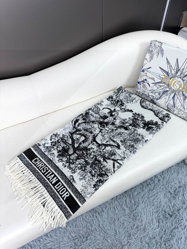 Dior scarf hm (236)
