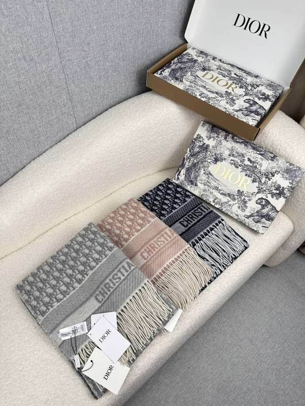 Dior scarf hm (239)