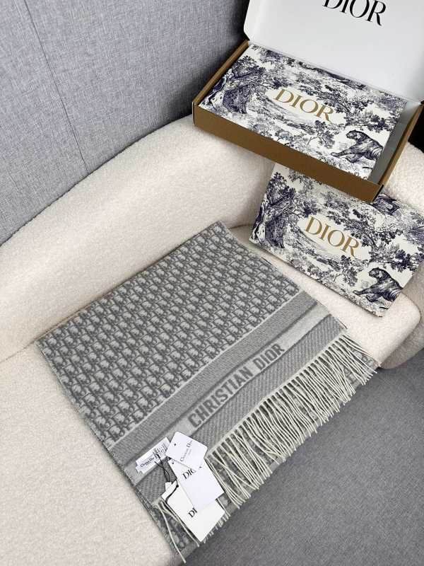 Dior scarf hm (240)
