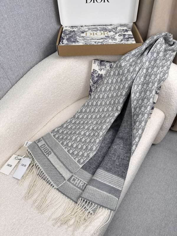 Dior scarf hm (241)