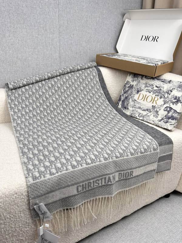 Dior scarf hm (242)