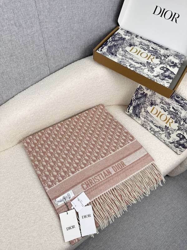 Dior scarf hm (243)