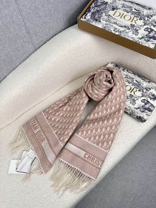 Dior scarf hm (244)