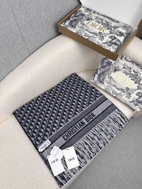 Dior scarf hm (246)
