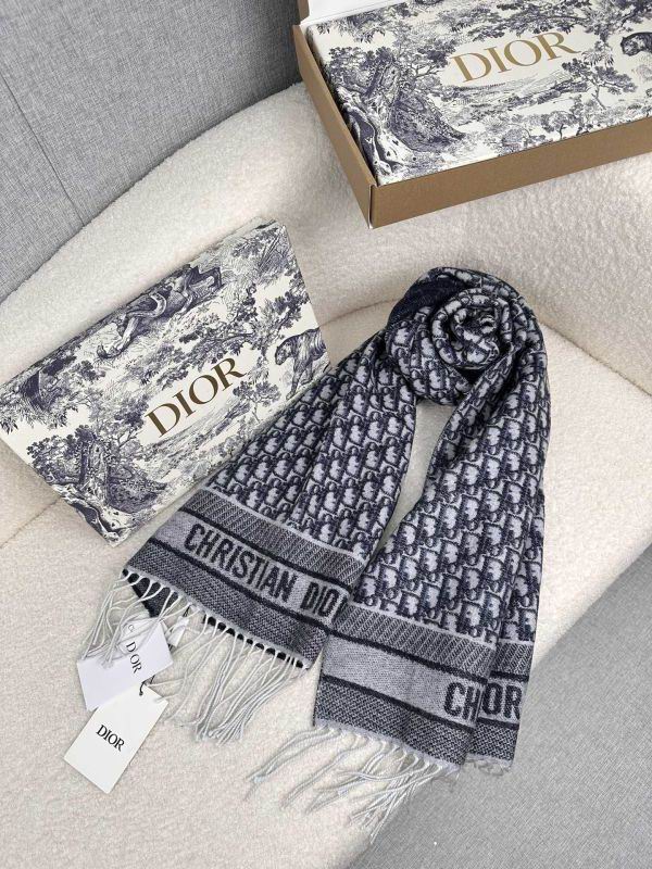 Dior scarf hm (247)