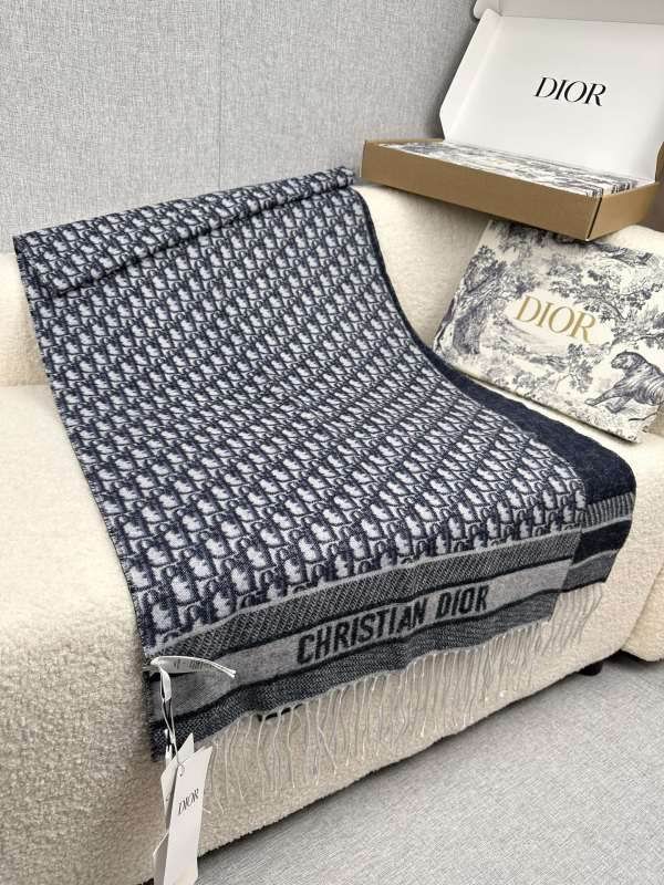 Dior scarf hm (248)