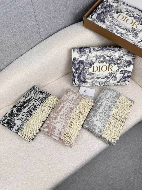 Dior scarf hm (249)