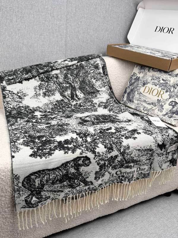 Dior scarf hm (251)