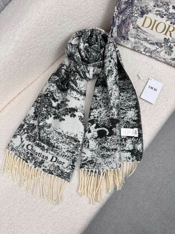 Dior scarf hm (252)