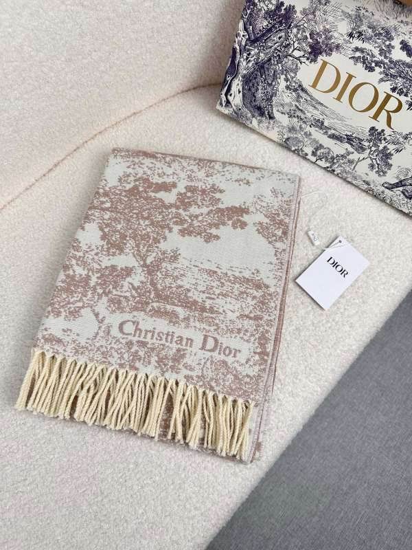 Dior scarf hm (253)