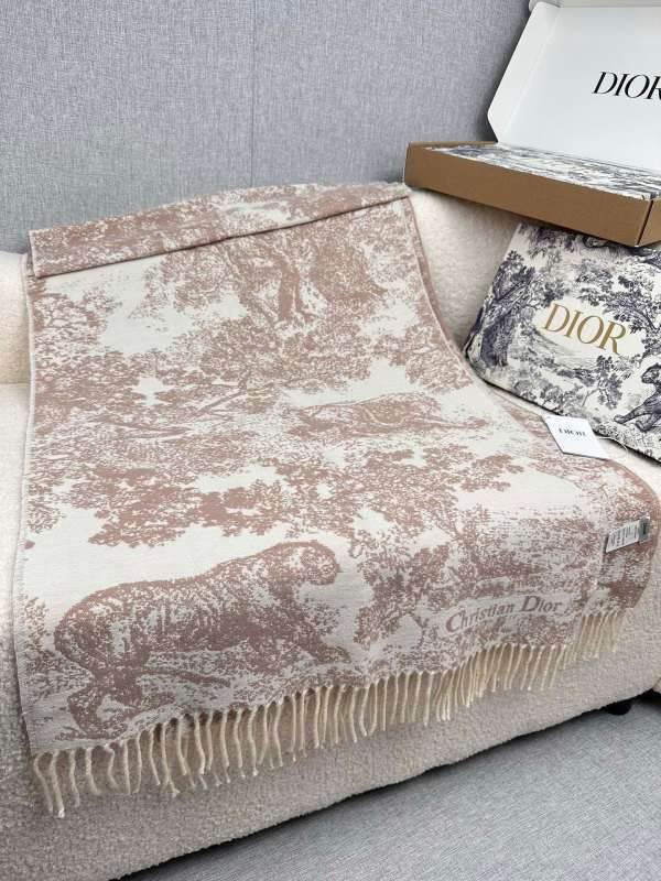 Dior scarf hm (254)