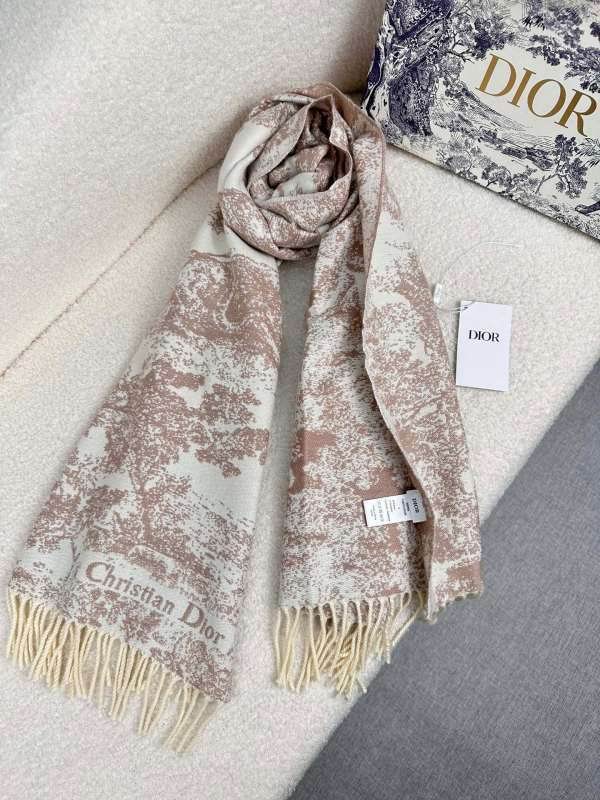 Dior scarf hm (255)