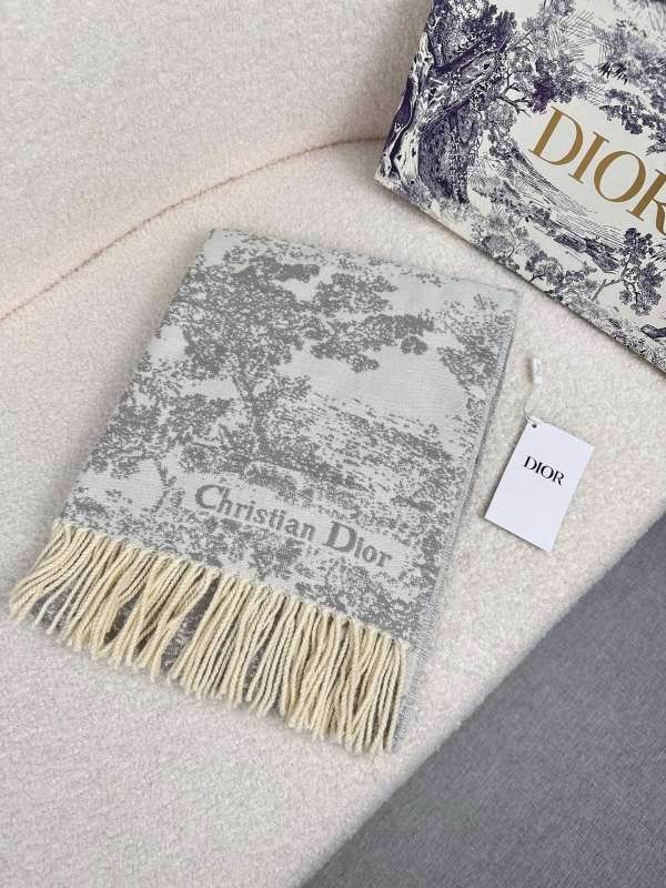 Dior scarf hm (256)
