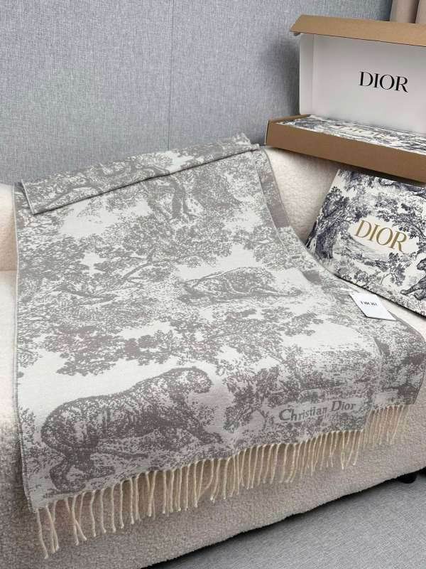 Dior scarf hm (257)