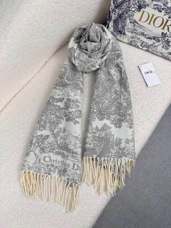 Dior scarf hm (258)