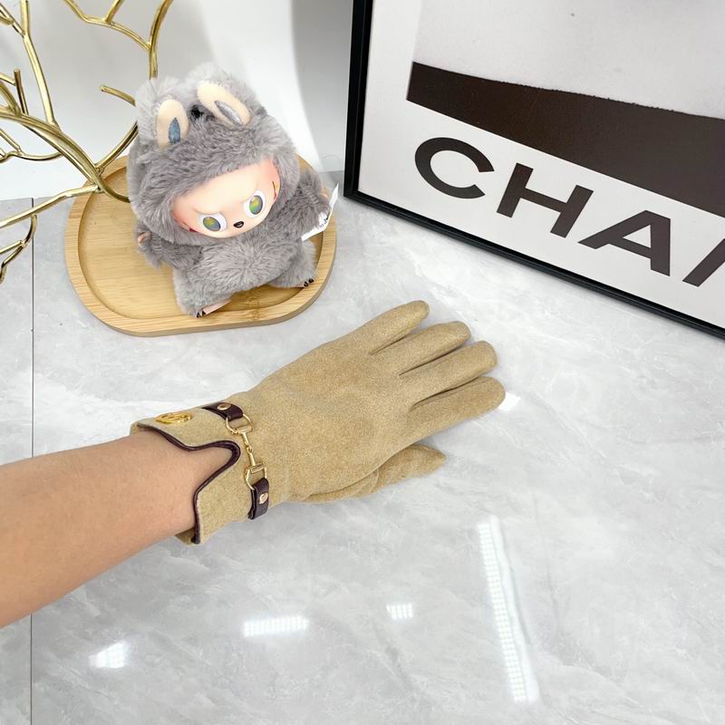 Gucci Gloves dx (145)