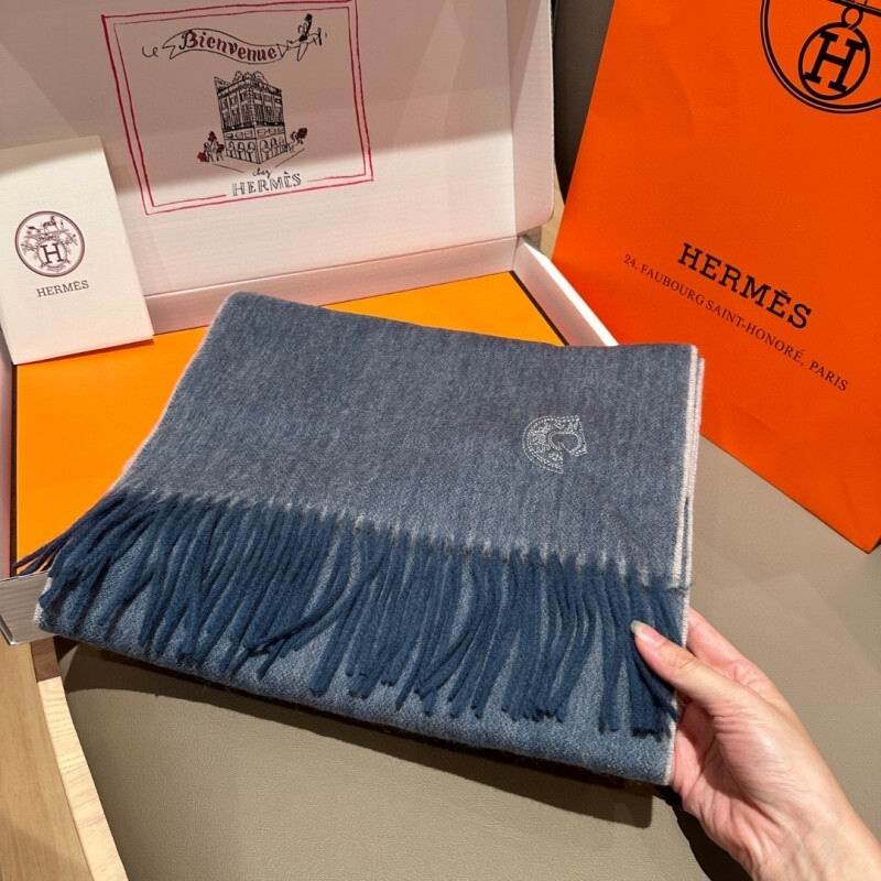 Hermes scarf hm (115)