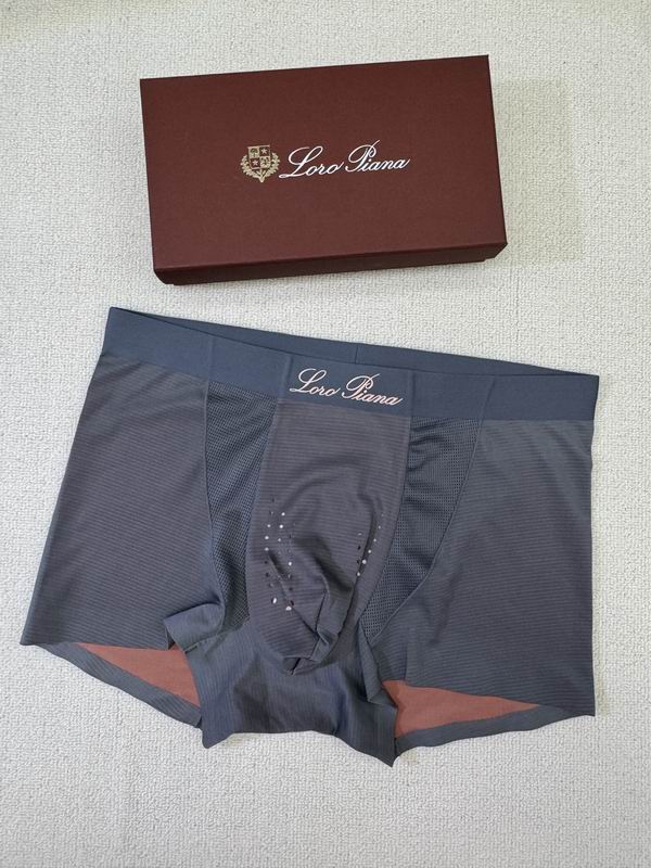 LP boxer L-4XL 09 (1)