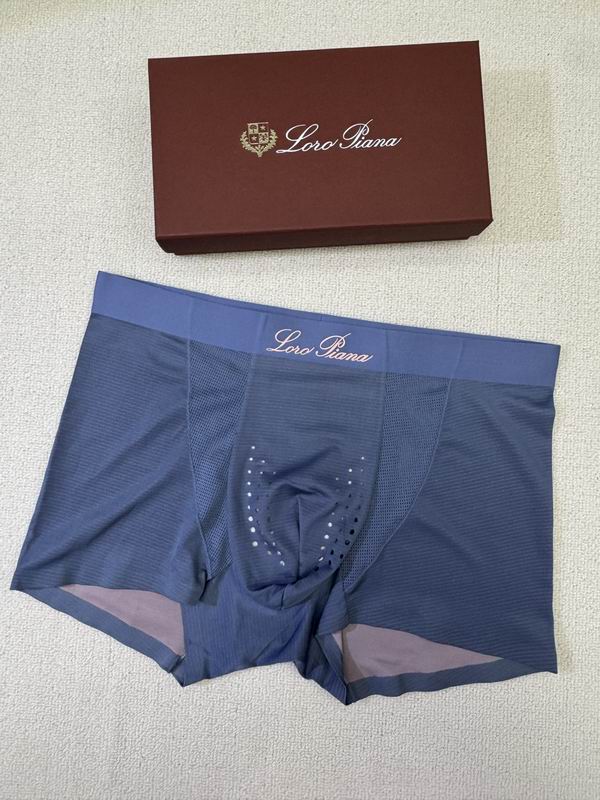 LP boxer L-4XL 09 (2)