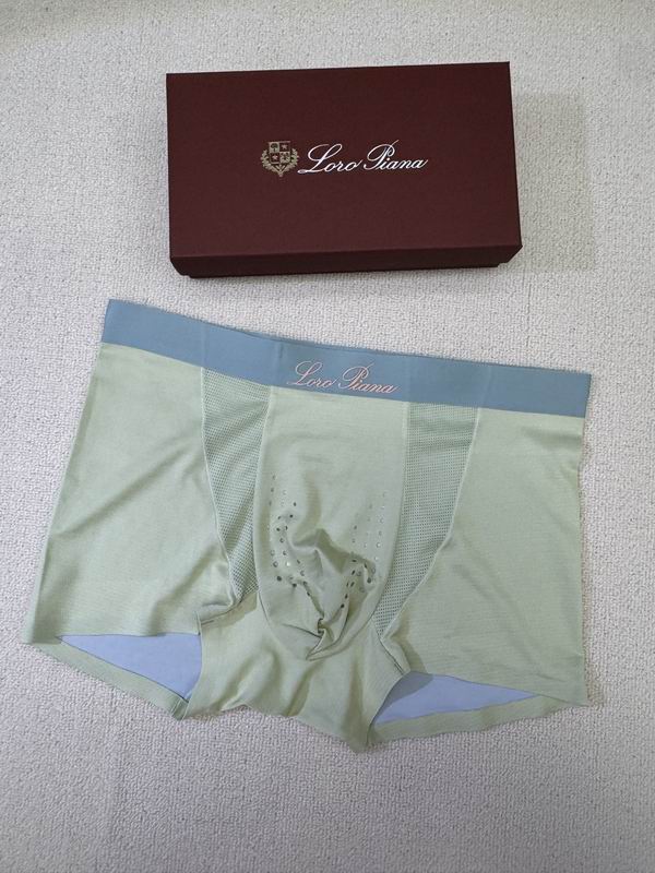 LP boxer L-4XL 09 (3)