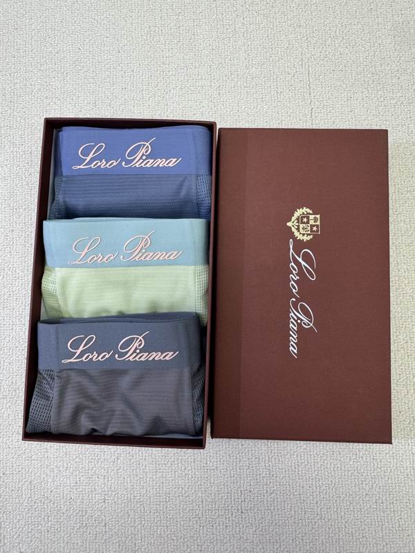 LP boxer L-4XL 09 (4)