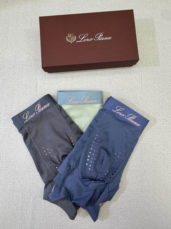 LP boxer L-4XL 09 (5)