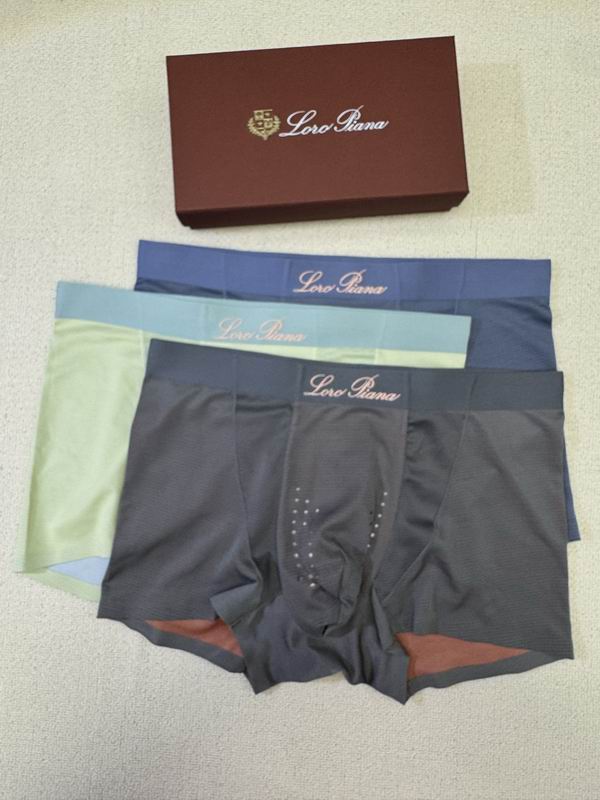 LP boxer L-4XL 09 (8)
