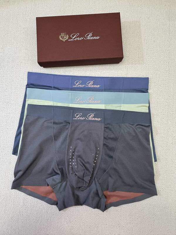 LP boxer L-4XL 09 (9)