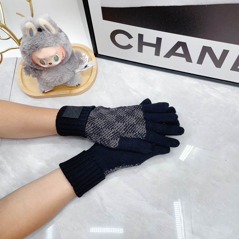 LV Gloves dx (109)