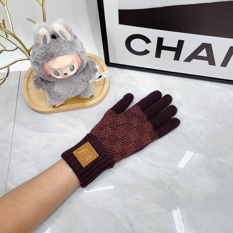LV Gloves dx (62)