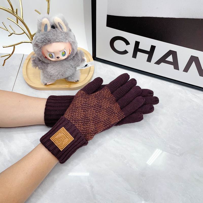 LV Gloves dx (64)