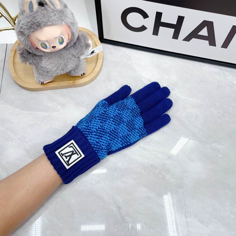 LV Gloves dx (71)