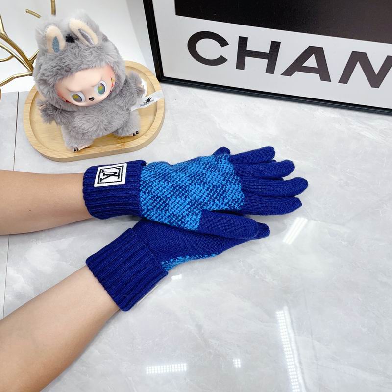 LV Gloves dx (72)