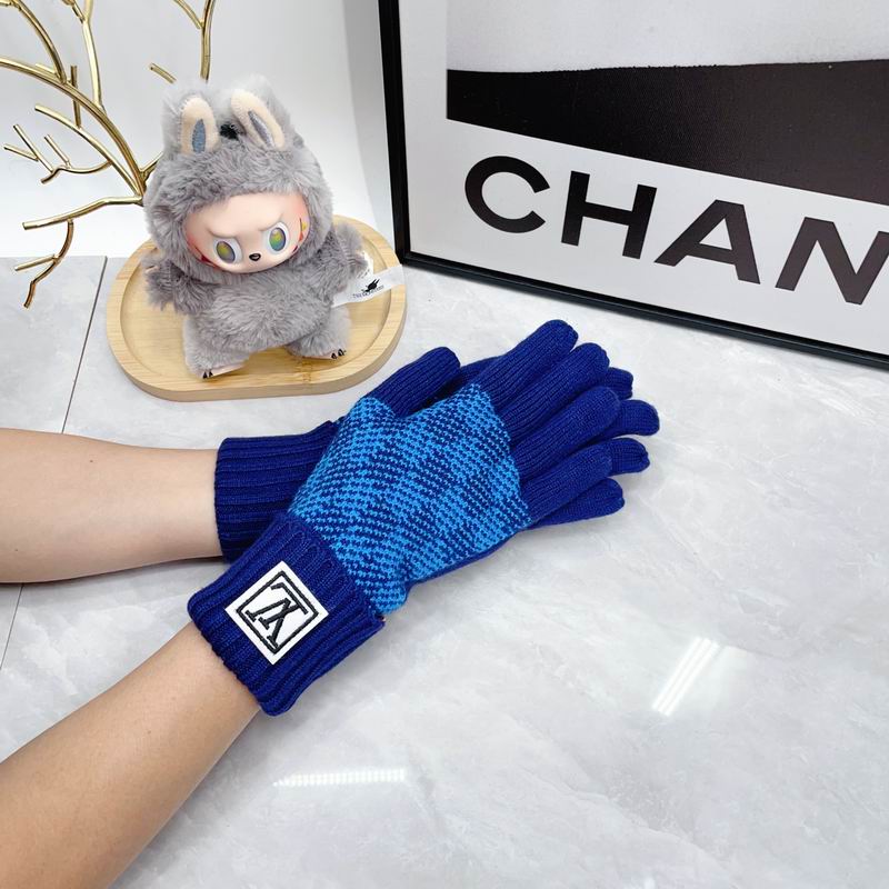 LV Gloves dx (73)