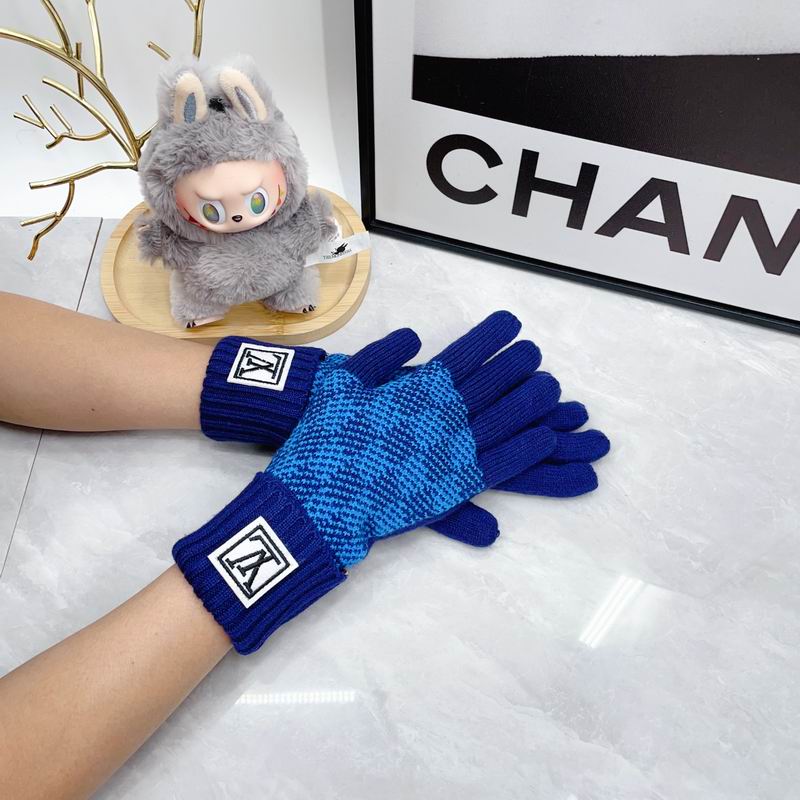 LV Gloves dx (74)
