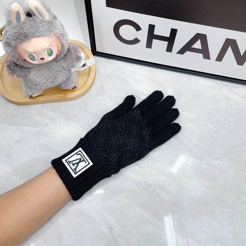 LV Gloves dx (89)